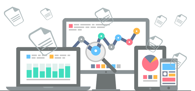 CVIRMS Dashboard Interface
